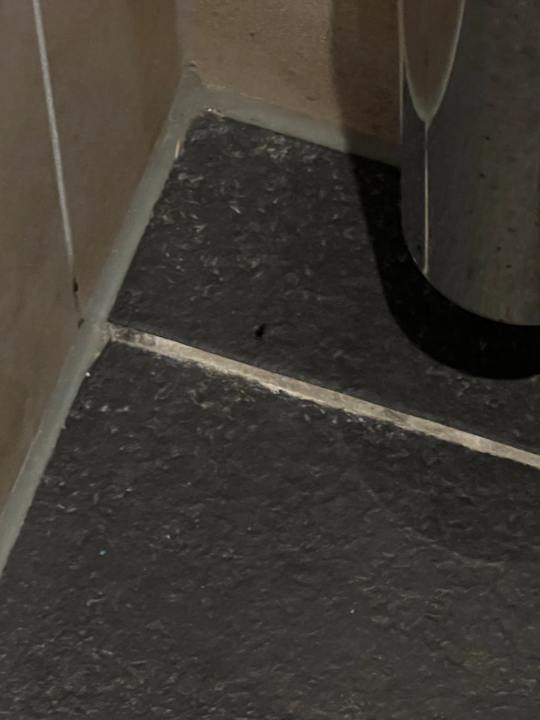 Zimmer Efteling Wonder Hotel