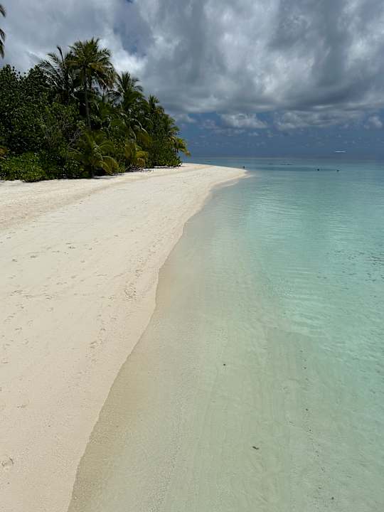 Strand Safari Island Maldives