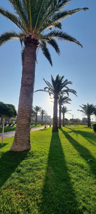 Gartenanlage Anissa Beach & Village