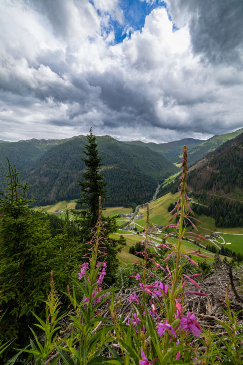 Ausblick Bergbauernhof  Ausserberglet & Sandalm  Almhütte
