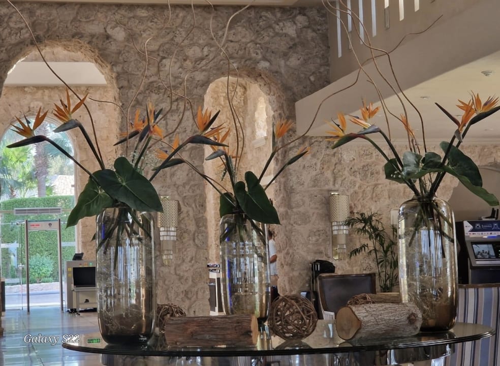 Lobby Pickalbatros Citadel Resort