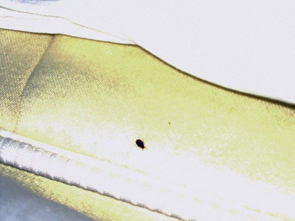 Fleck Matratze Relax Airport