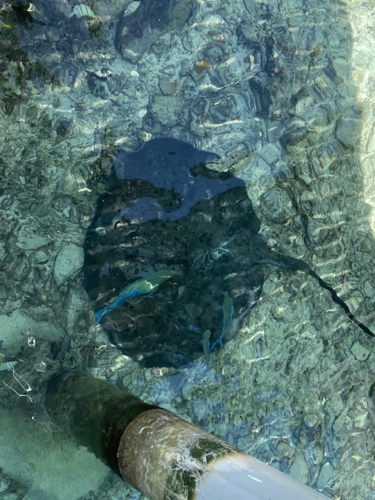 Sport & Freizeit Cinnamon Hakuraa Huraa Maldives