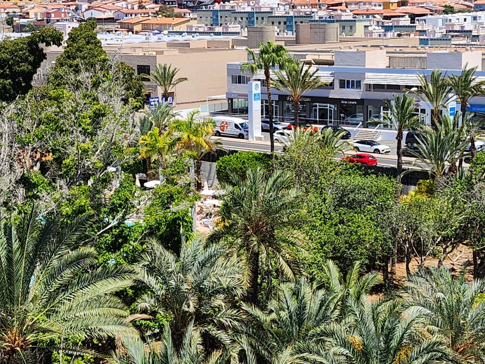 Gartenanlage Abora Buenaventura by Lopesan Hotels