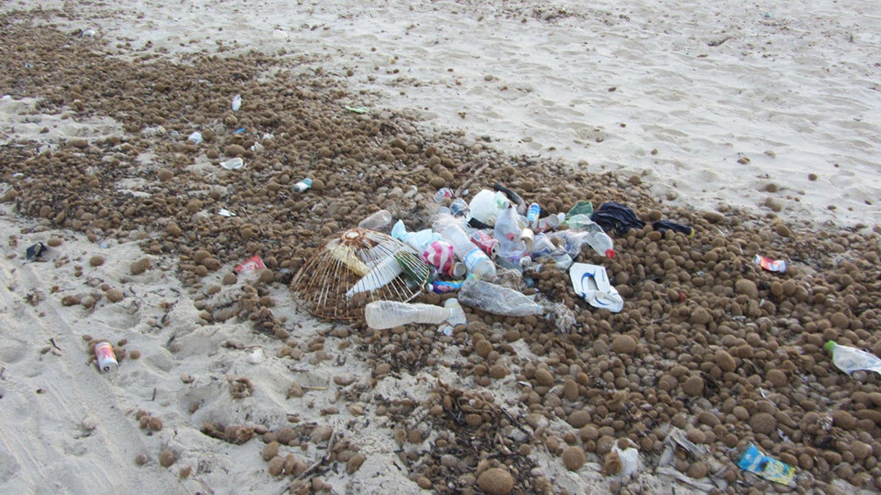 Plaża w drodze do Yasmine Hawai Beach Club