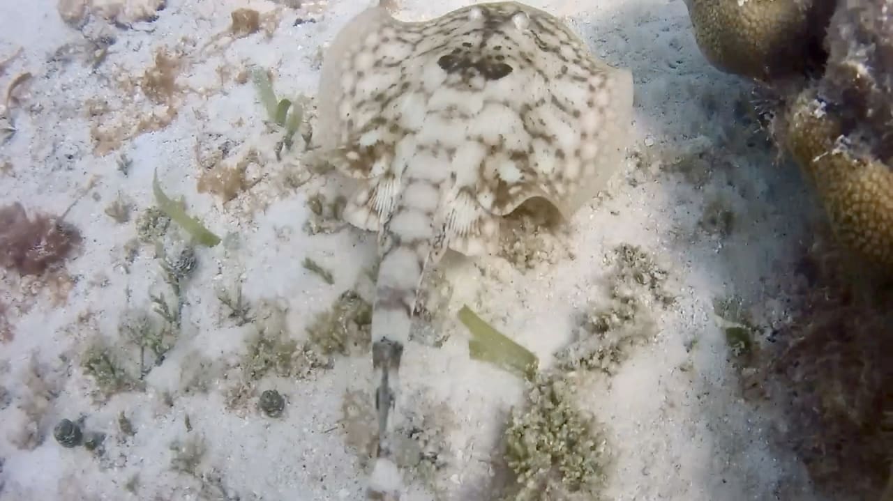 Sport & Freizeit Akumal Bay Beach & Wellness Resort