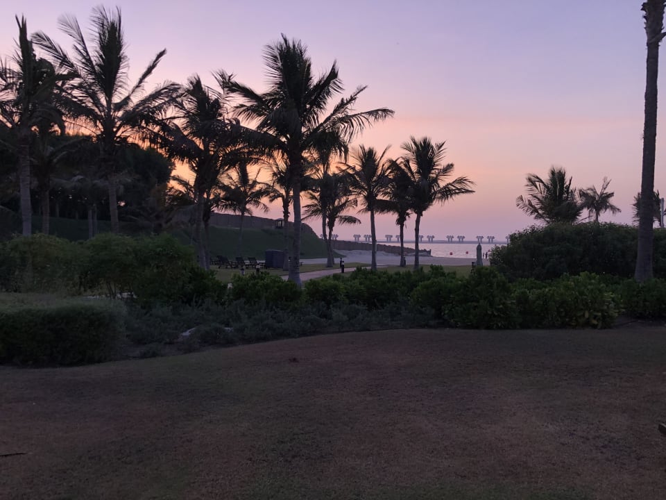 Garten JA Palm Tree Court