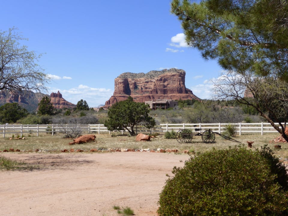 Ausblick vor dem Haus B&B Grace's Secret Garden