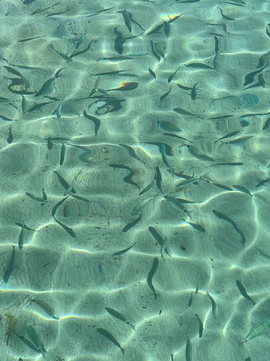 Strand Grupotel Playa Camp de Mar