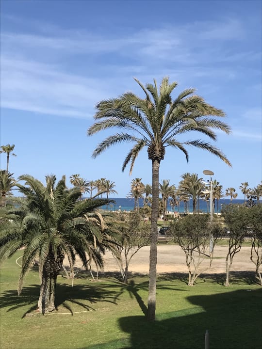 Ausblick Hipotels Cala Millor Park