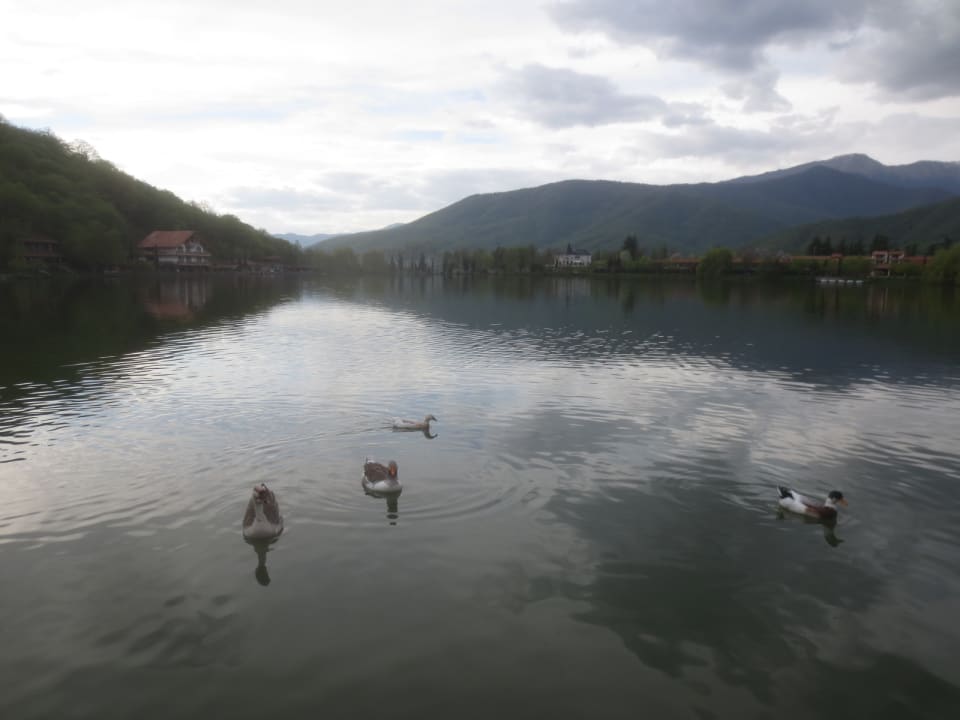 Ausblick Lopota Lake Resort & Spa