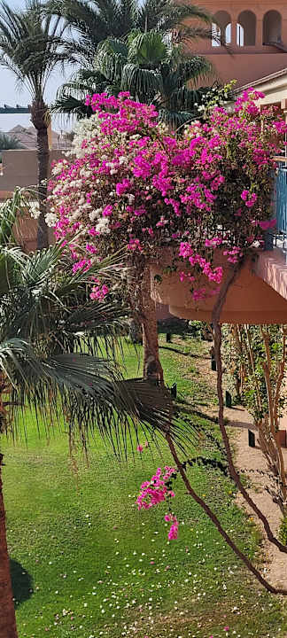 Außenansicht Mövenpick Resort & Spa El Gouna