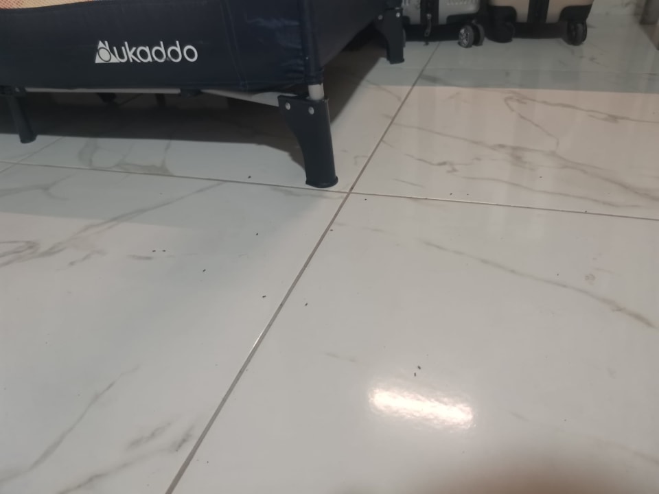 Zimmer Mira Meridia Beach Hotel