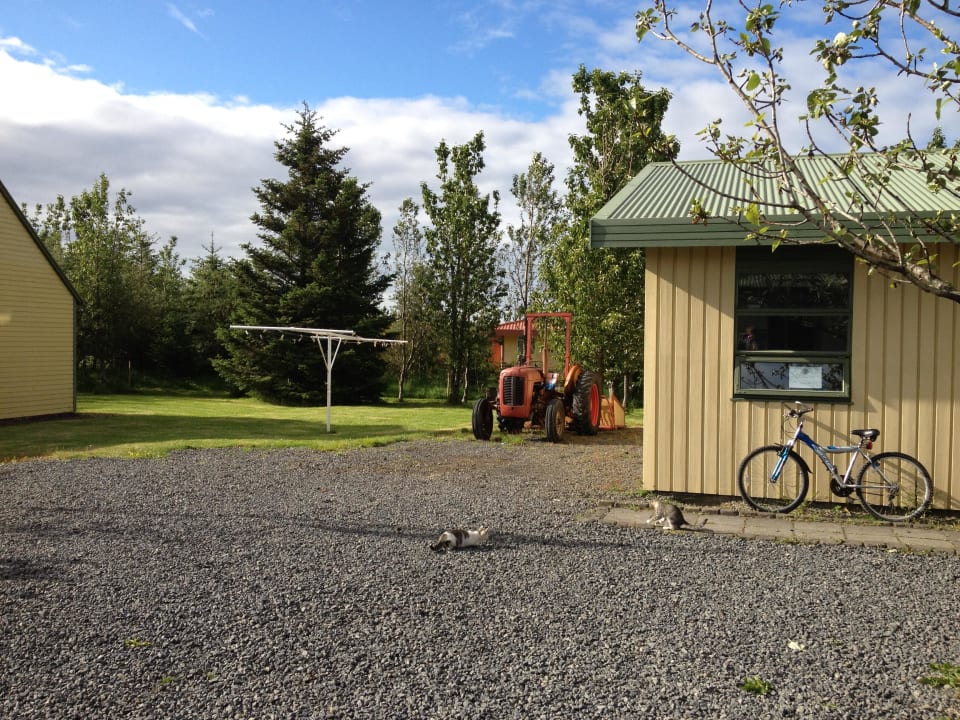 Der Hof Guesthouse Hjardarból