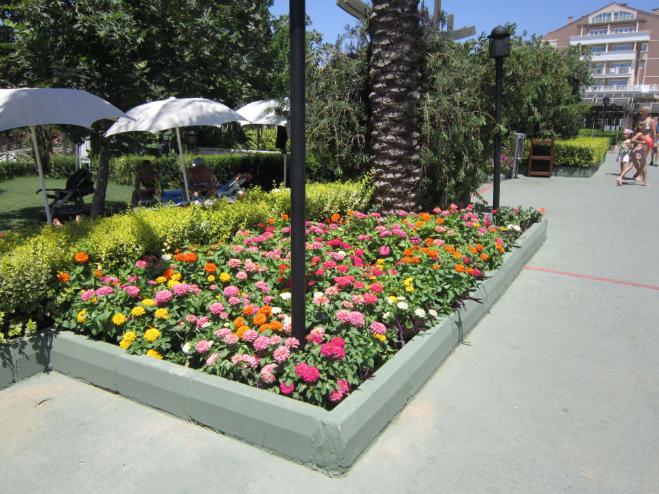 Blumen Trendy Aspendos Beach Hotel