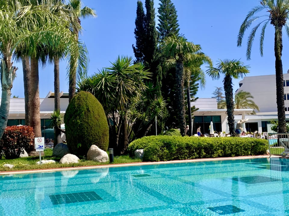 Pool Side Star Elegance