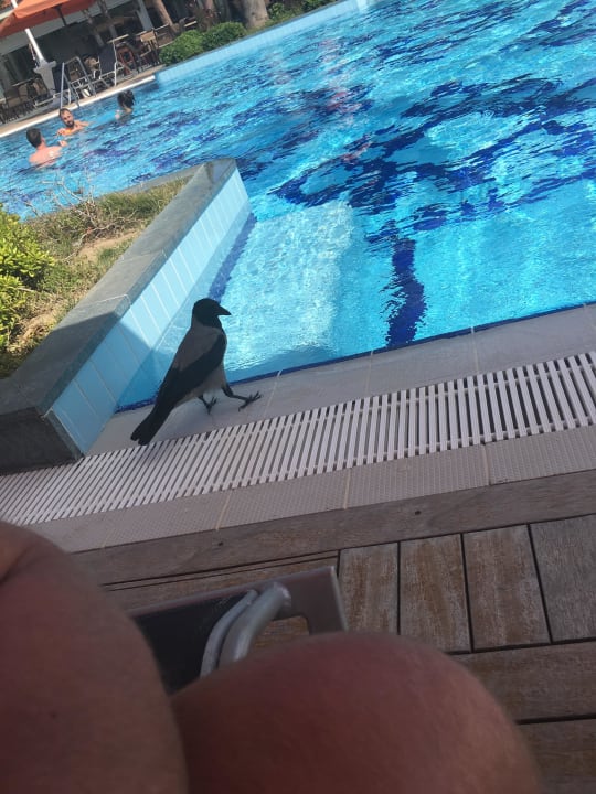 Ali Bey Ali Bey Resort Sorgun