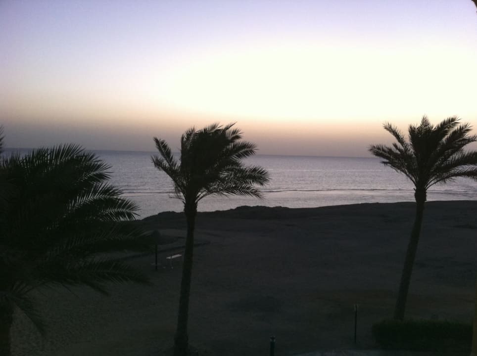 Unser Blick vom Balkon TUI BLUE Samaya
