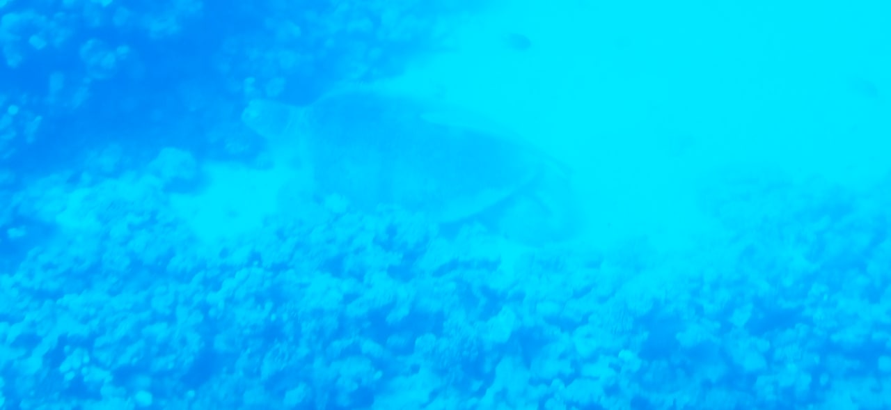 Sonstiges Stella Beach Resort & Spa Makadi Bay