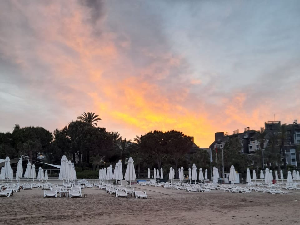 Strand PALOMA Perissia