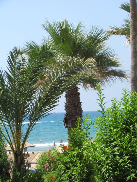 Palme Hotel Defne Garden