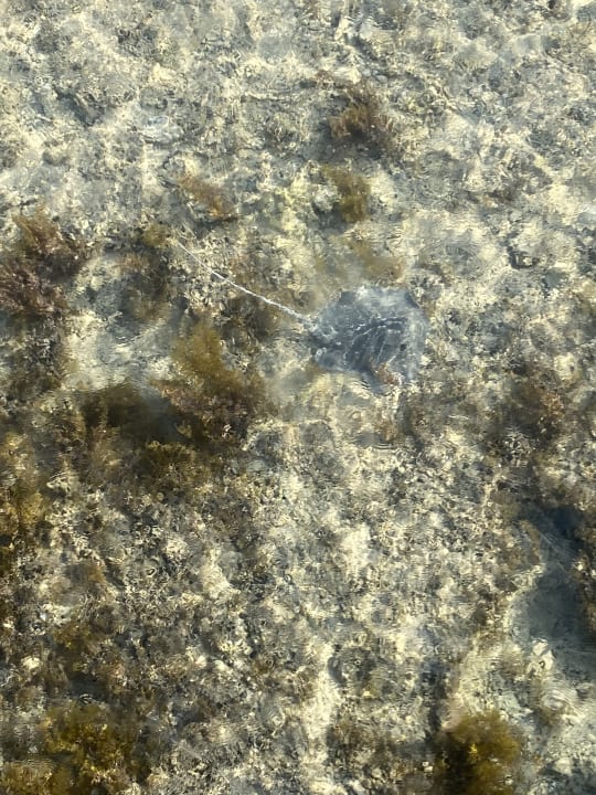 Strand Casa Mare Resort