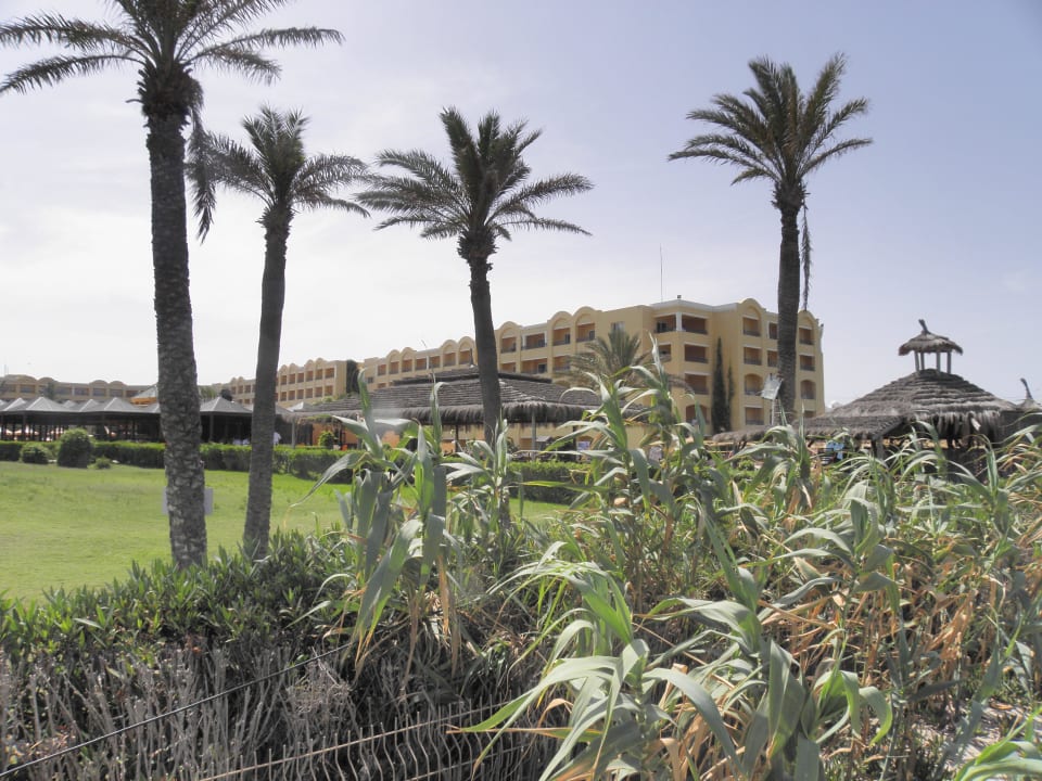 Sicht vom Strand aus Nour Palace Resort & Thalasso