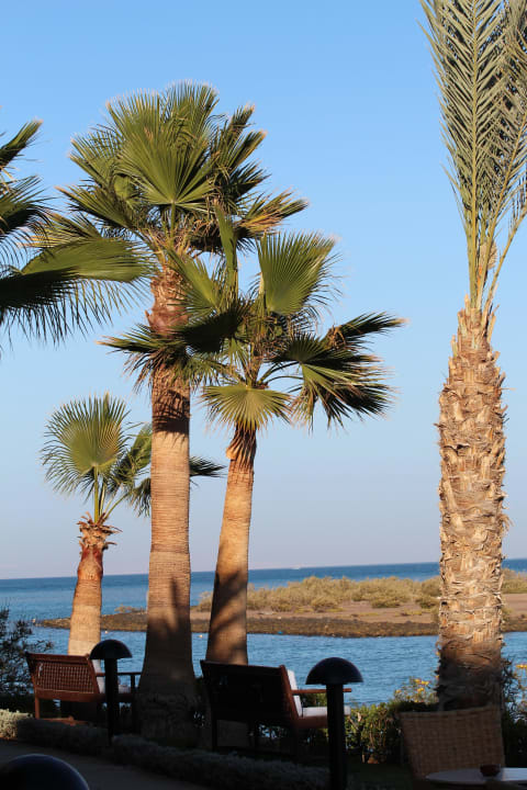 Ausblick Lobbybar Hotel Three Corners Ocean View prestige - Adults only