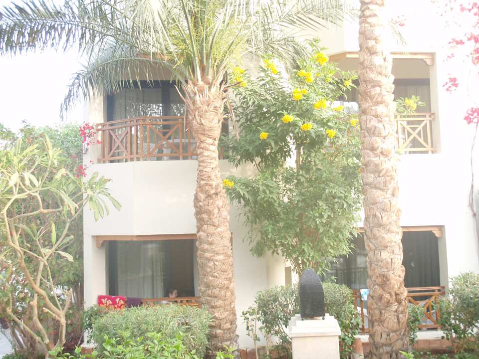 Bunte exotische Pflanzen Ghazala Gardens