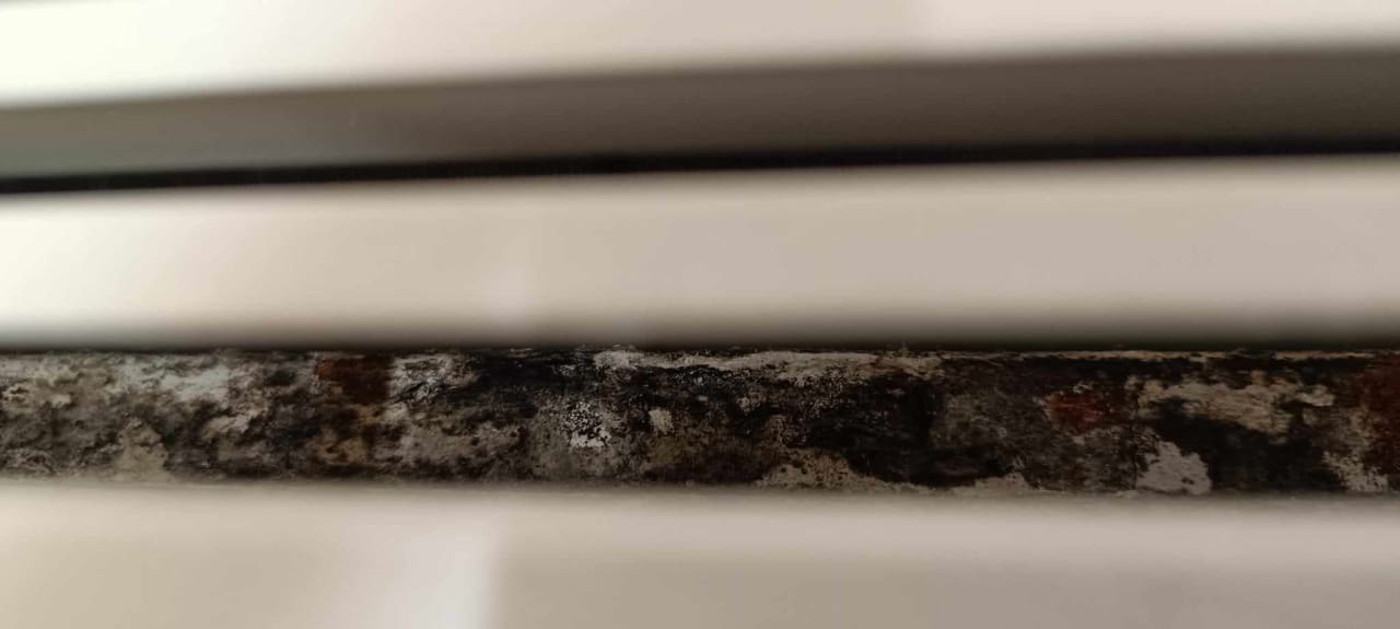 Zimmer allsun Hotel Bella Paguera