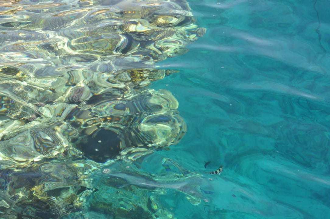 Das klare Wasser am im Roten Meer Reef Oasis Blue Bay Resort