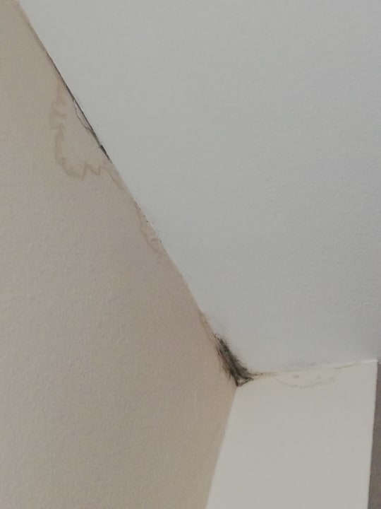 Zimmer Hotel Materada Plava Laguna