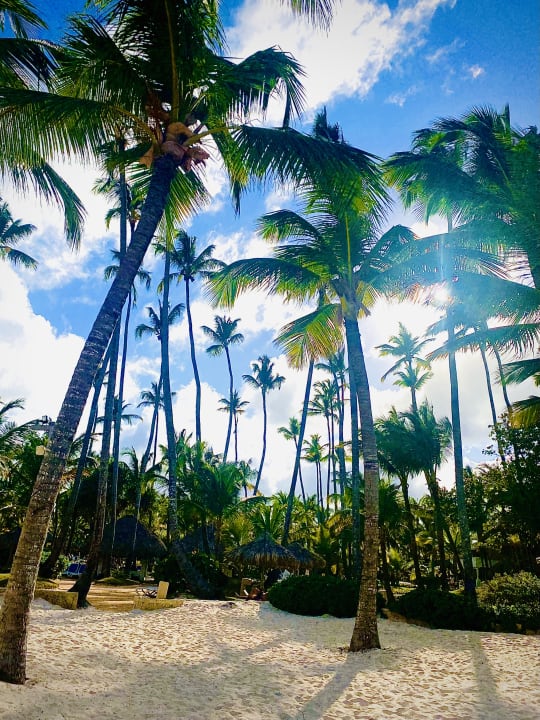 Strand Meliá Caribe Beach Resort-All Inclusive