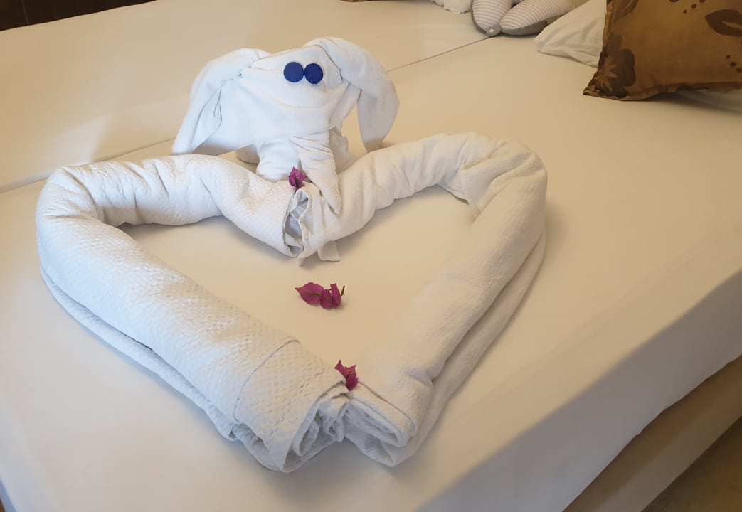 Zimmer Hotel Club Paradiso