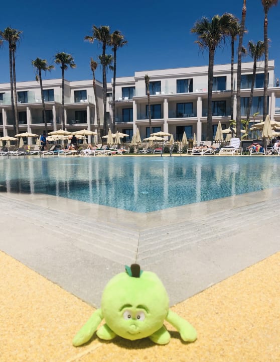 Pool Hipotels Barrosa Park
