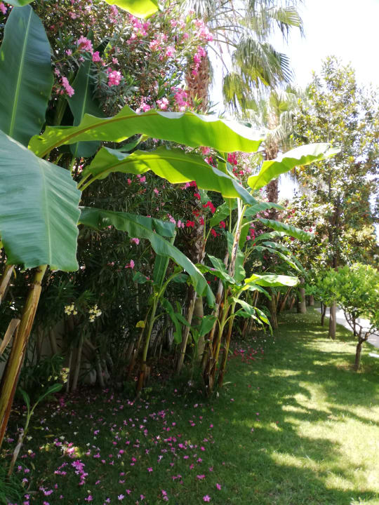Gartenanlage Hotel Sidekum