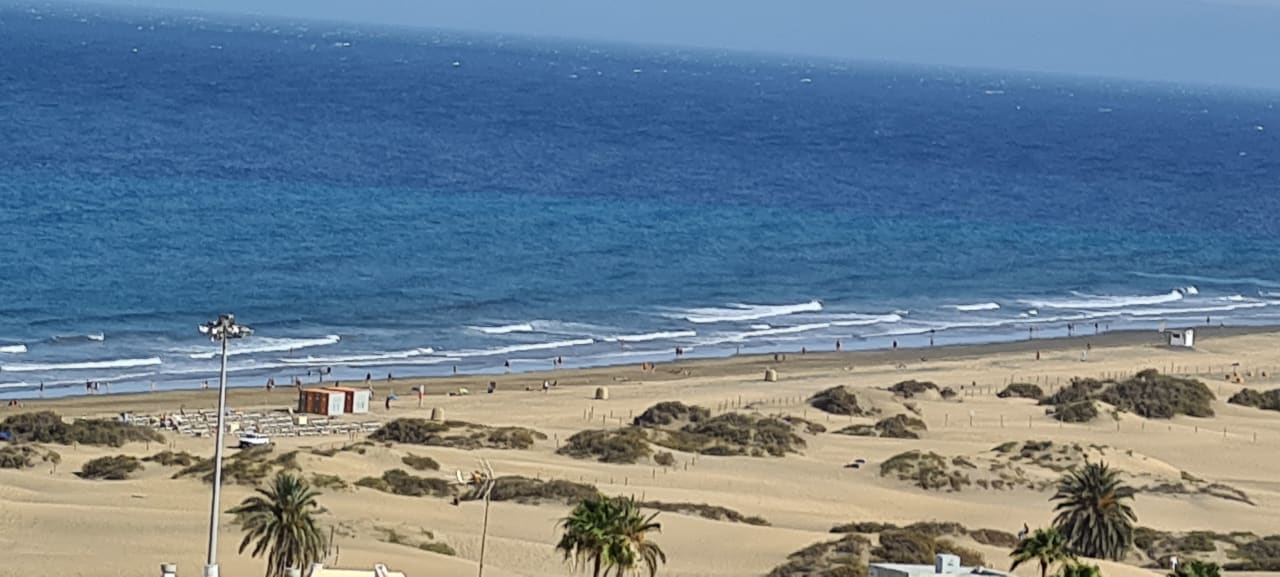 Ausblick Hotel Riu Palace Palmeras