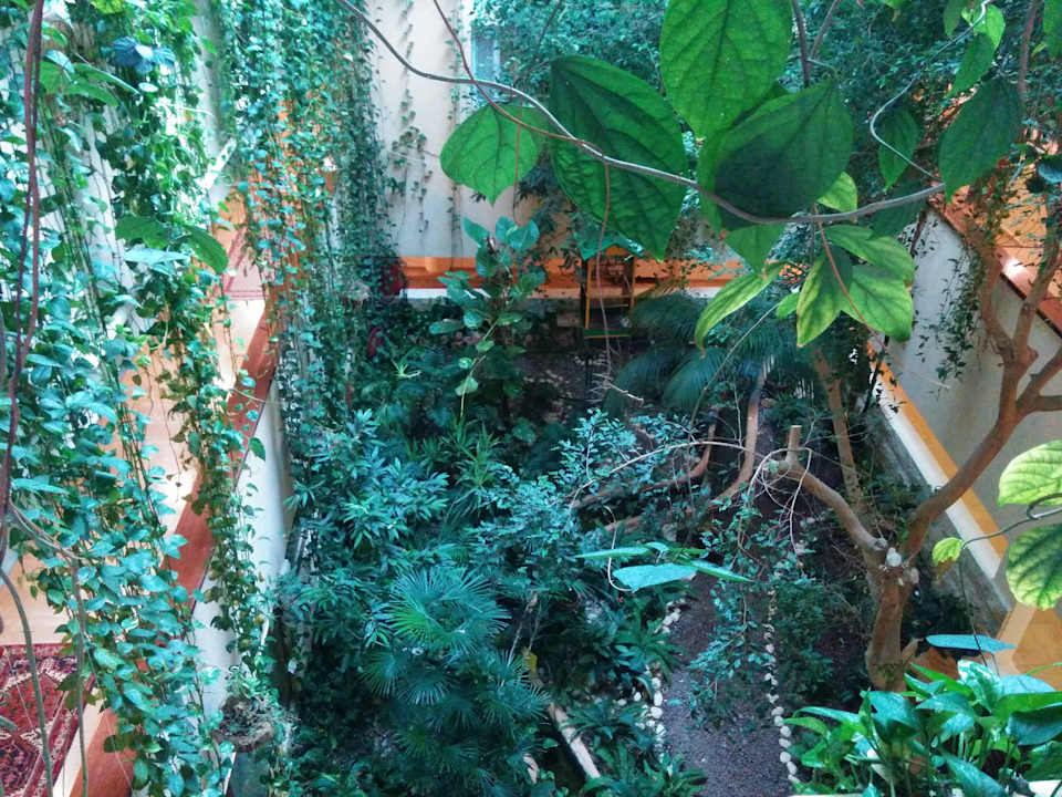 Patio Hotel Mizpe Hayamim