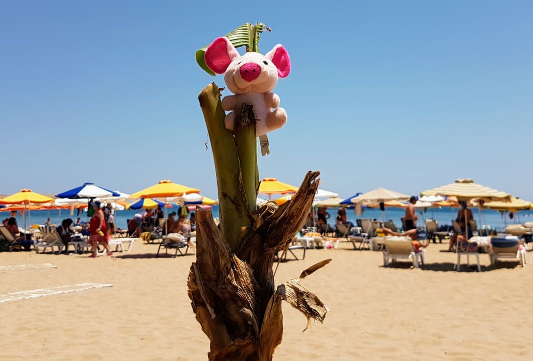 Strand Niriides Hotel