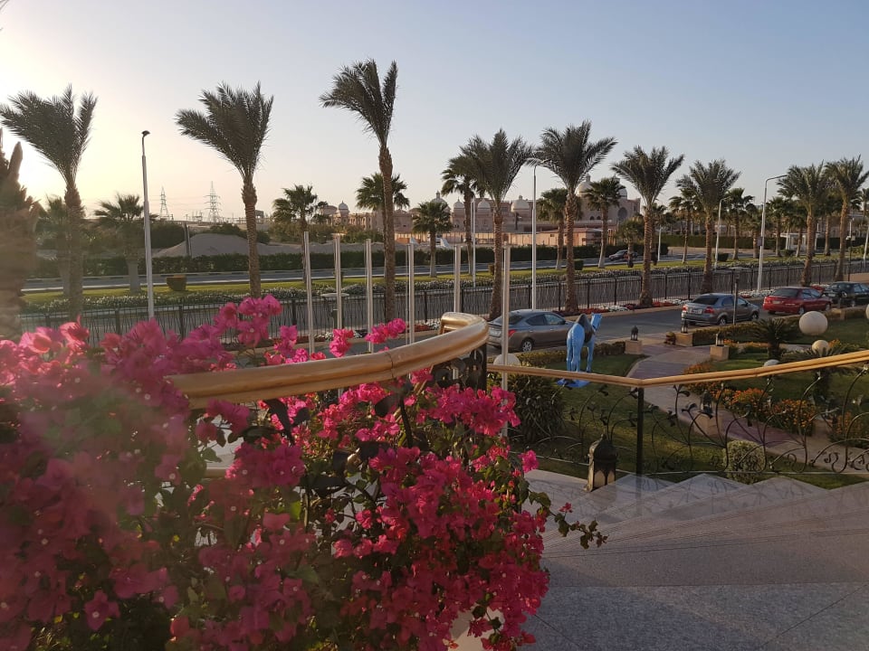 Vor dem Hotel Pickalbatros Palace Resort