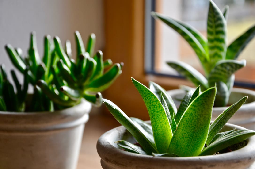 Sonstiges Landhaus Waldhart