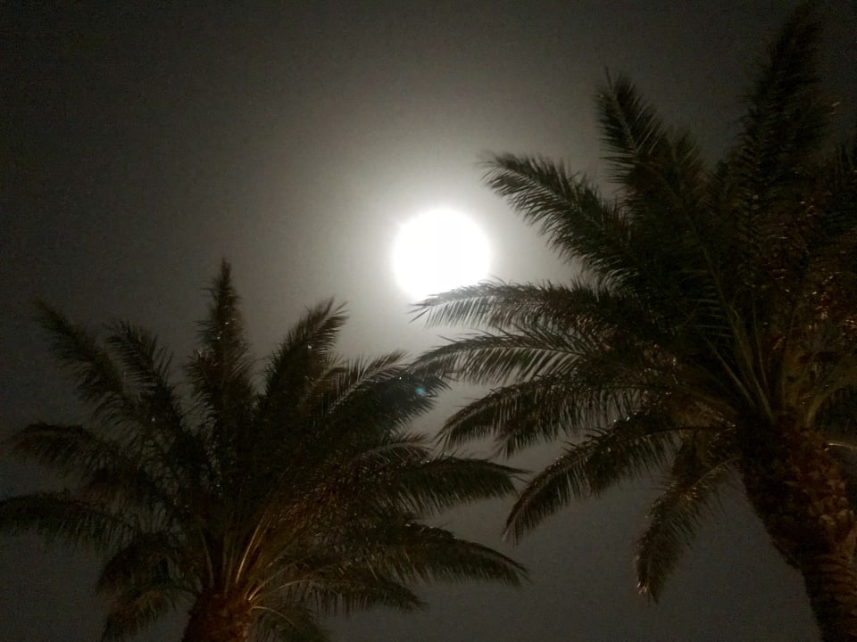 Ausblick Sentido Caribbean World Soma Bay