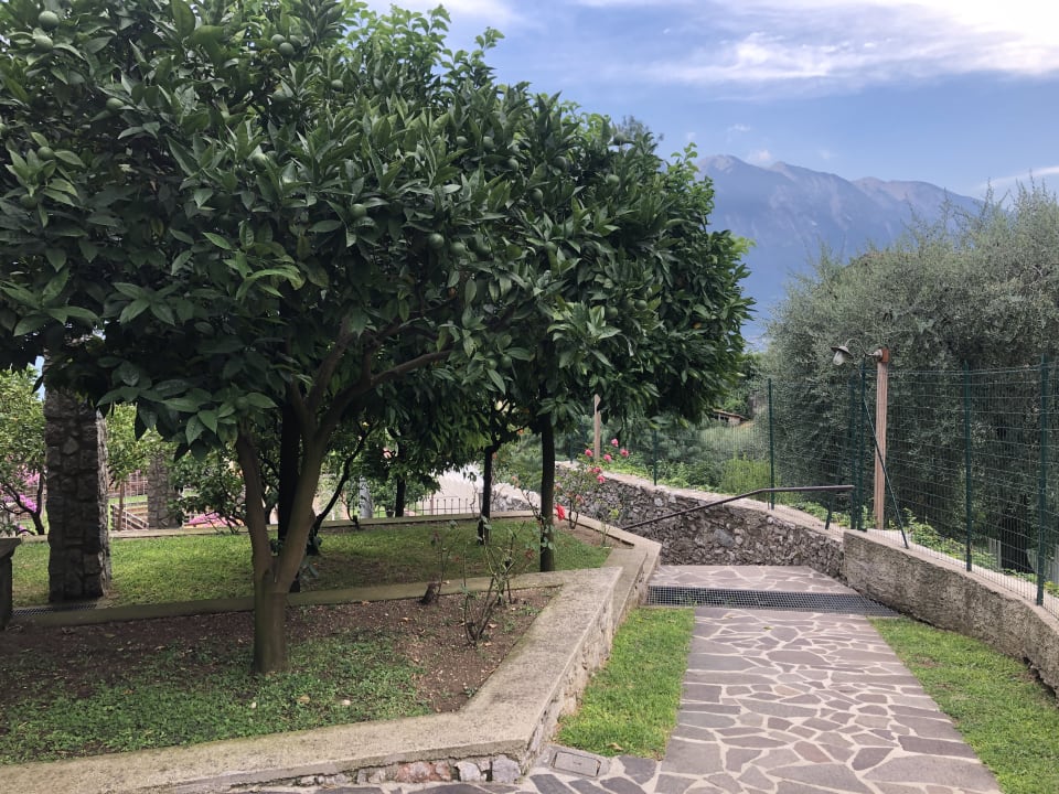 Gartenanlage Hotel Caravel