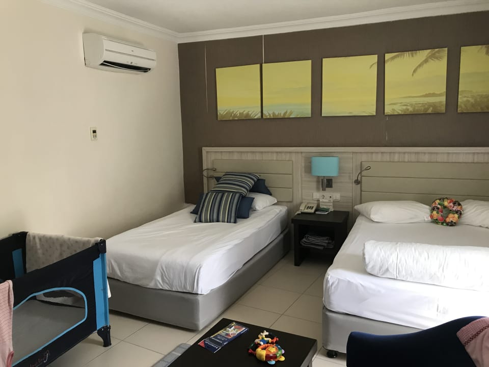 Zimmer Papillon Belvil