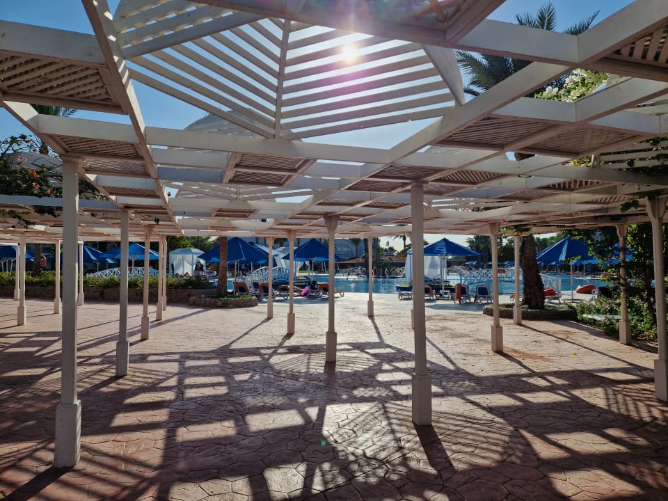 Gartenanlage Desert Rose