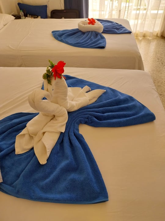 Zimmer Gran Muthu Imperial