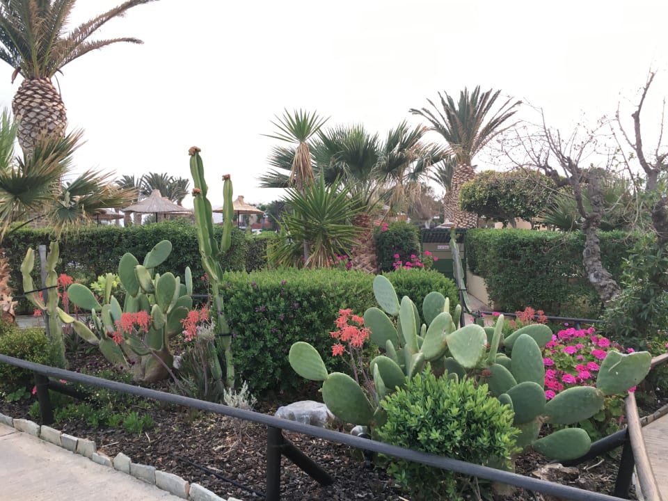 Gartenanlage Anissa Beach & Village