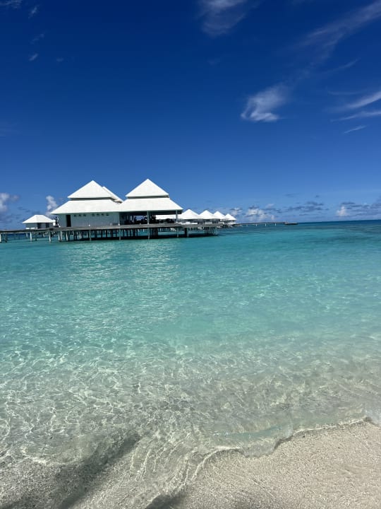 Gastro Diamonds Thudufushi