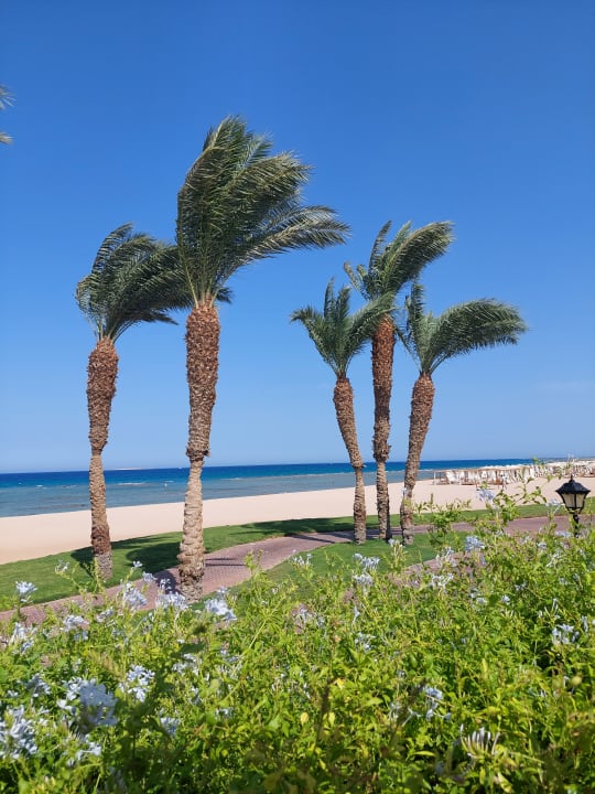 Strand Baron Palace Sahl Hasheesh