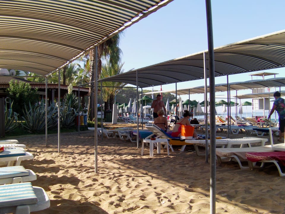 Liegen Strand und Poolbar Top Hotel